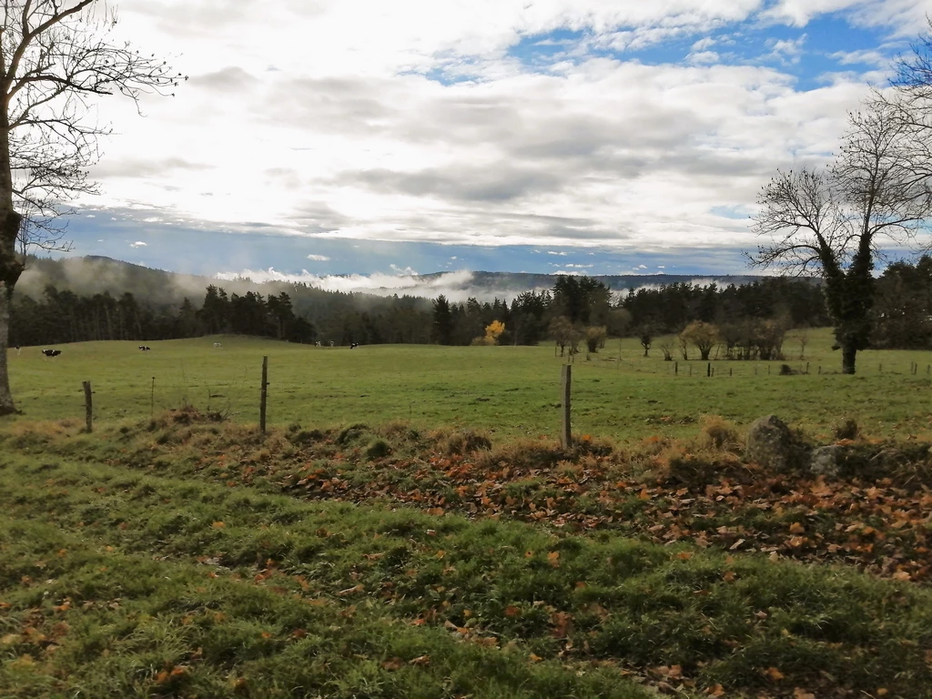 Paysage de la Haute-Loire en automne
