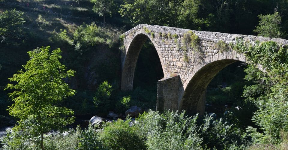 Des moulins restaurés et fonctionnels
